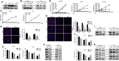 Deficiency of G9a Inhibits Cell Proliferation and Activates Autophagy via Transcriptionally Regulating c-Myc Expression in Glioblastoma